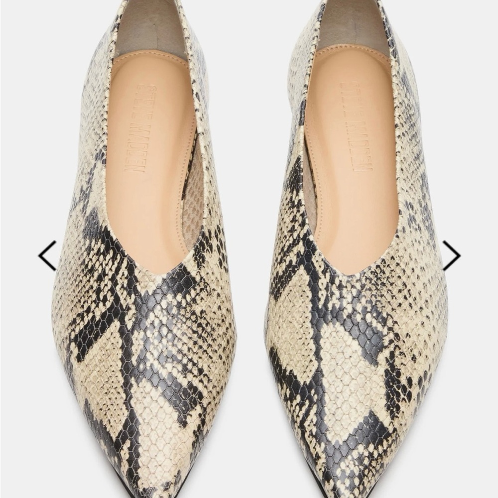 Steve Madden Floyd Snake Flat 8.5